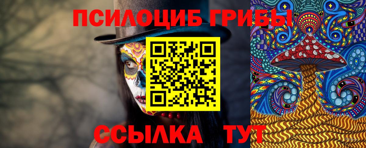 Псилоцибиновые грибы Cubensis  Псилоцибиновые грибы прущие грибы  Вход с VPN  Мариинск 
