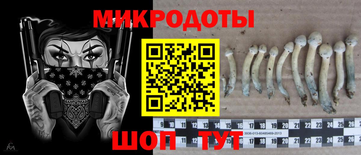 Псилоцибиновые грибы Magic Shrooms Мариинск